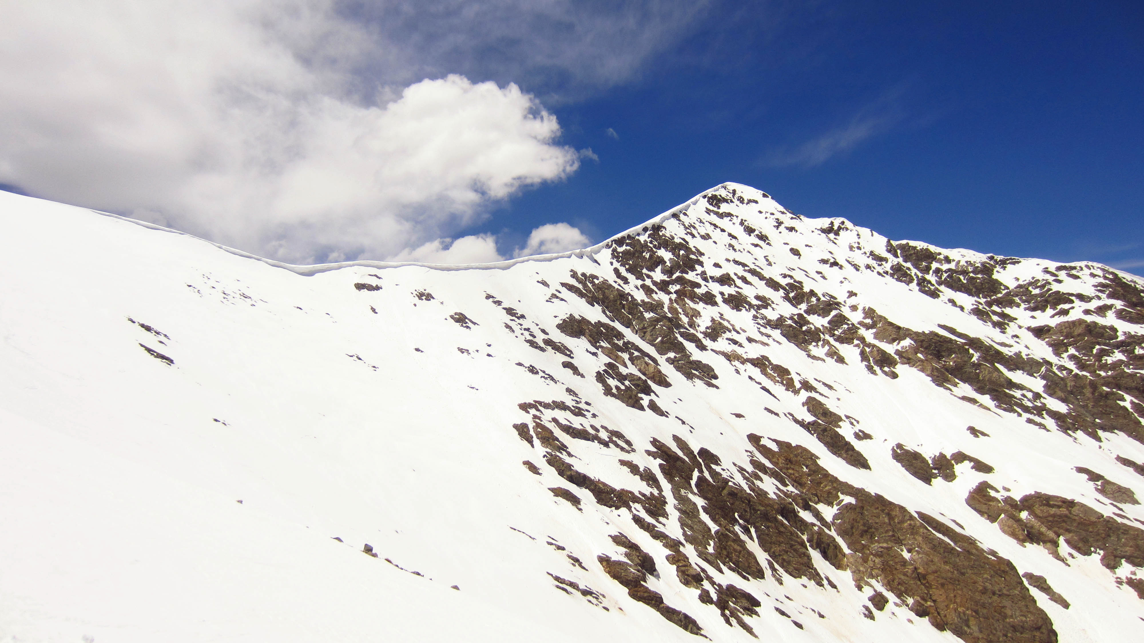 Torreys Peak Colorado