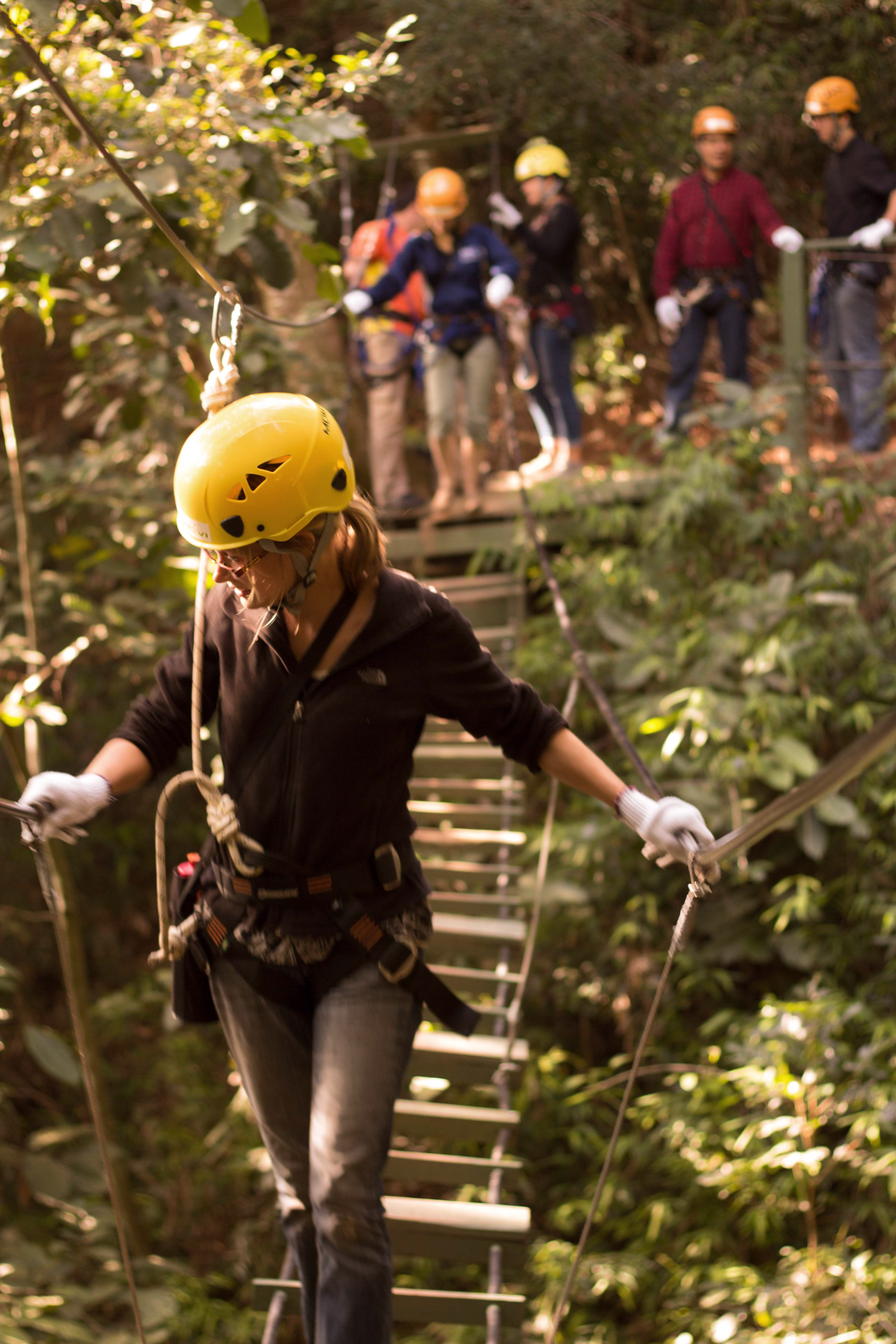 Cordillera Emily Crossing Bridge