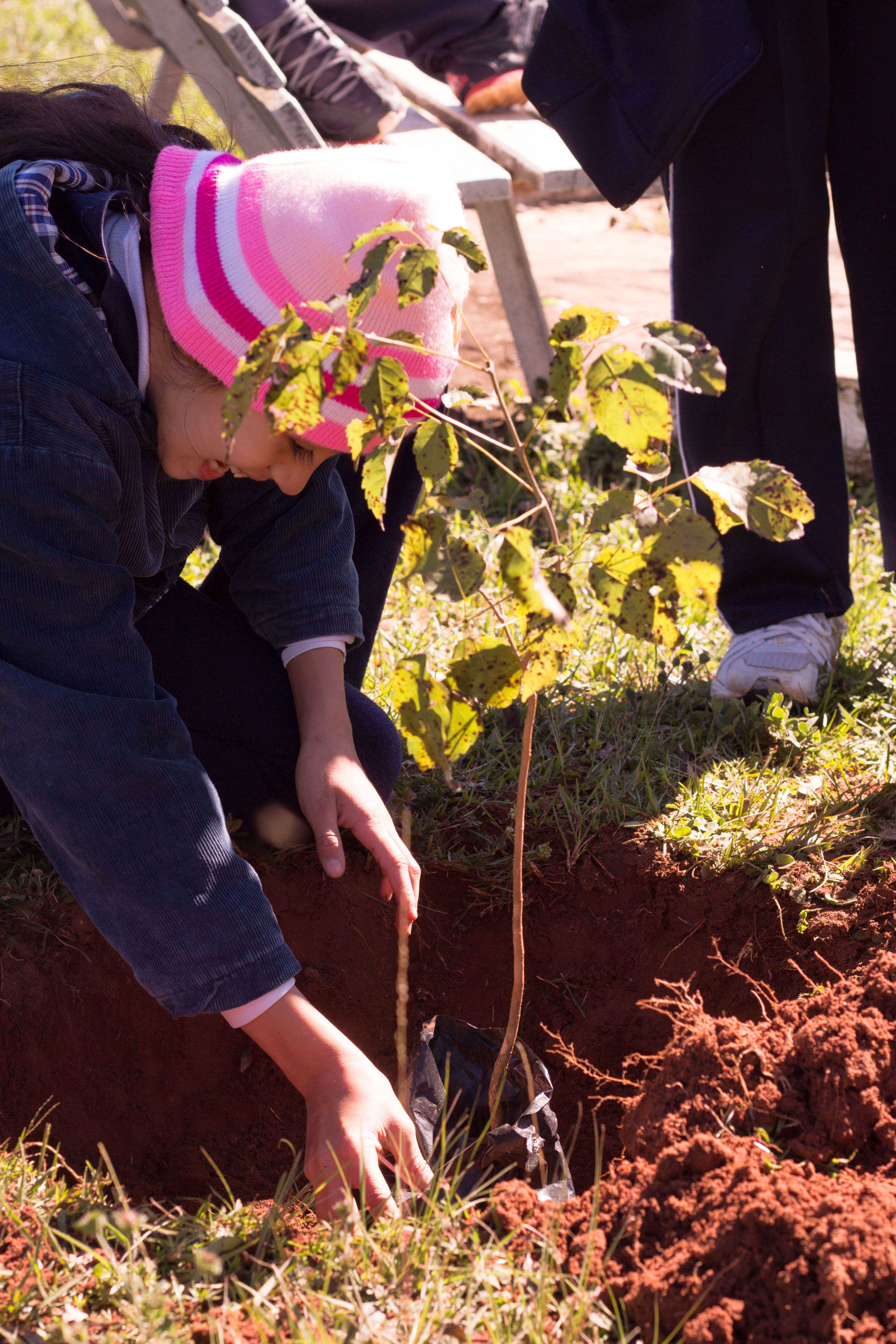 Capilla Cue 6th Grade Planting Trees