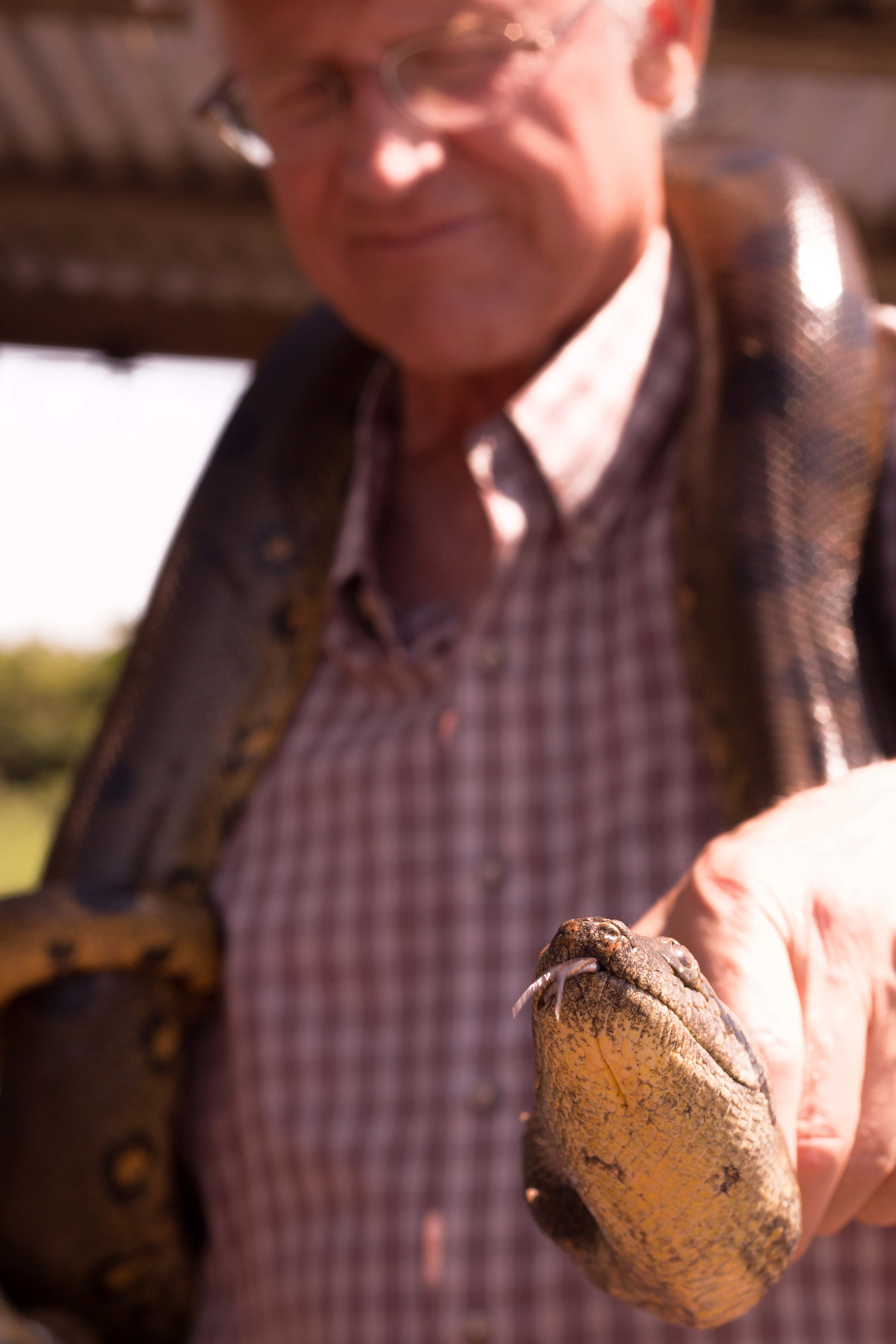 Brazil Manaus Amazon Dad Python