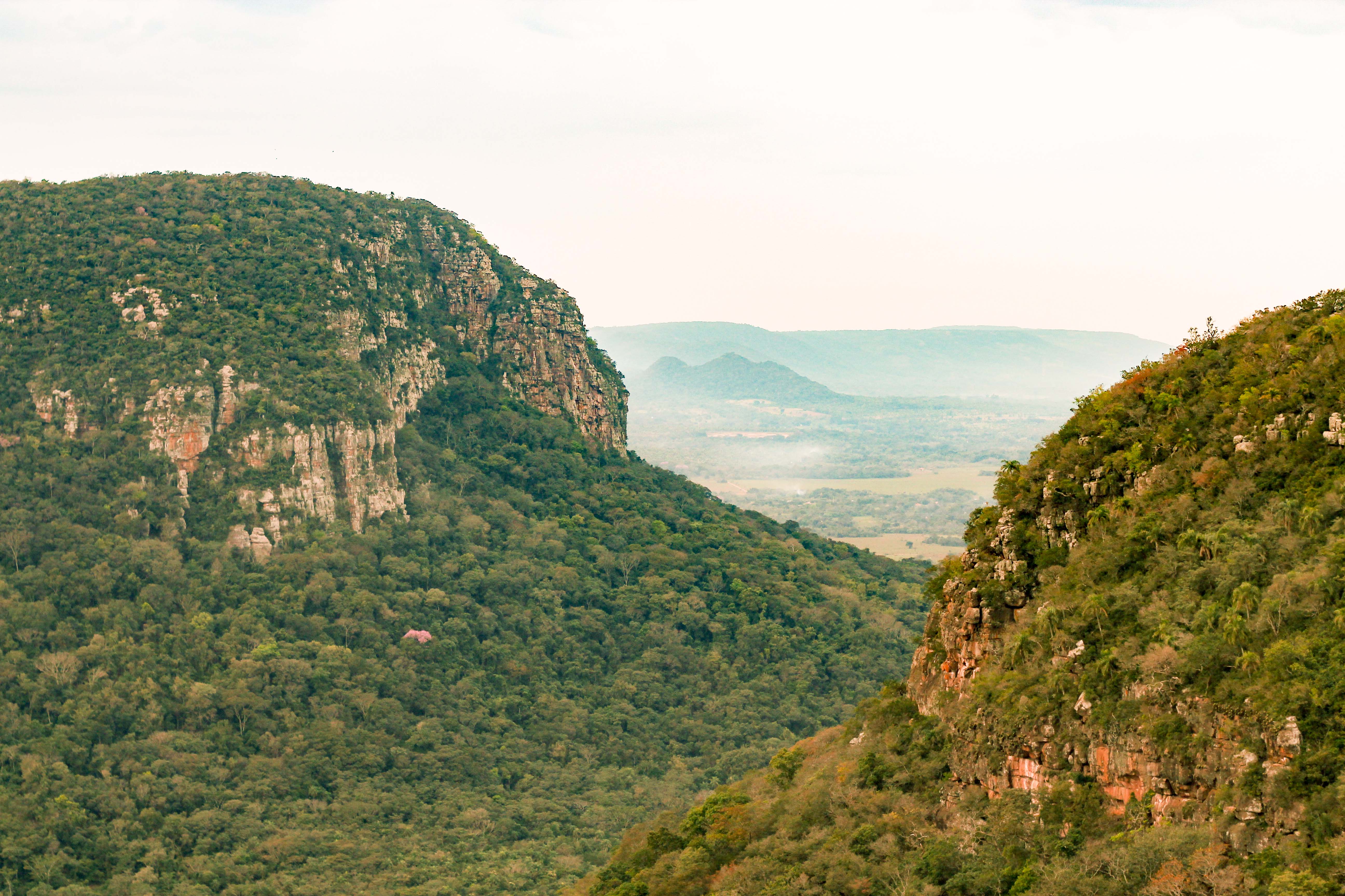 Cerro Santo Tomas