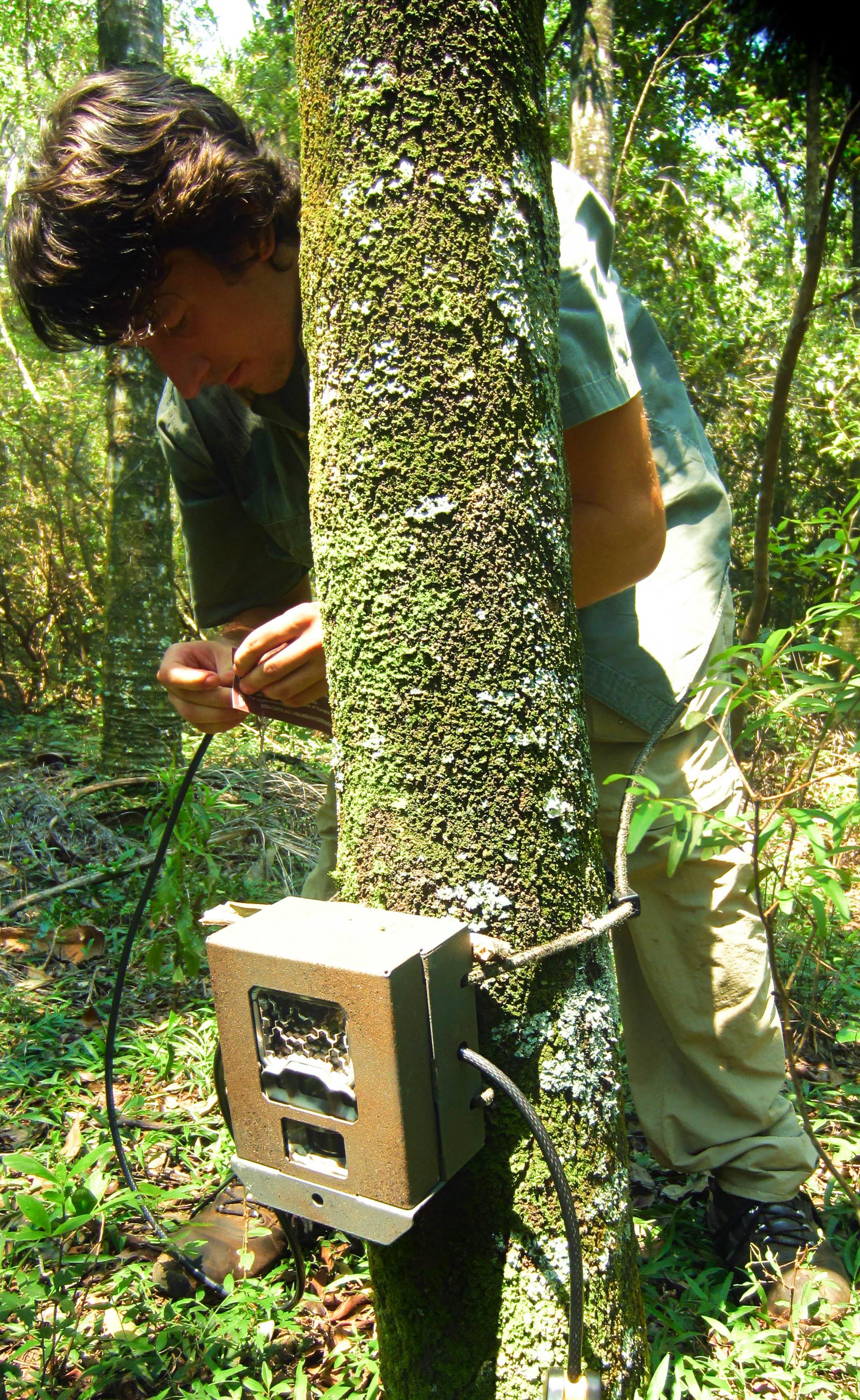 Capilla Cue Nick Setting Up Camera Trap