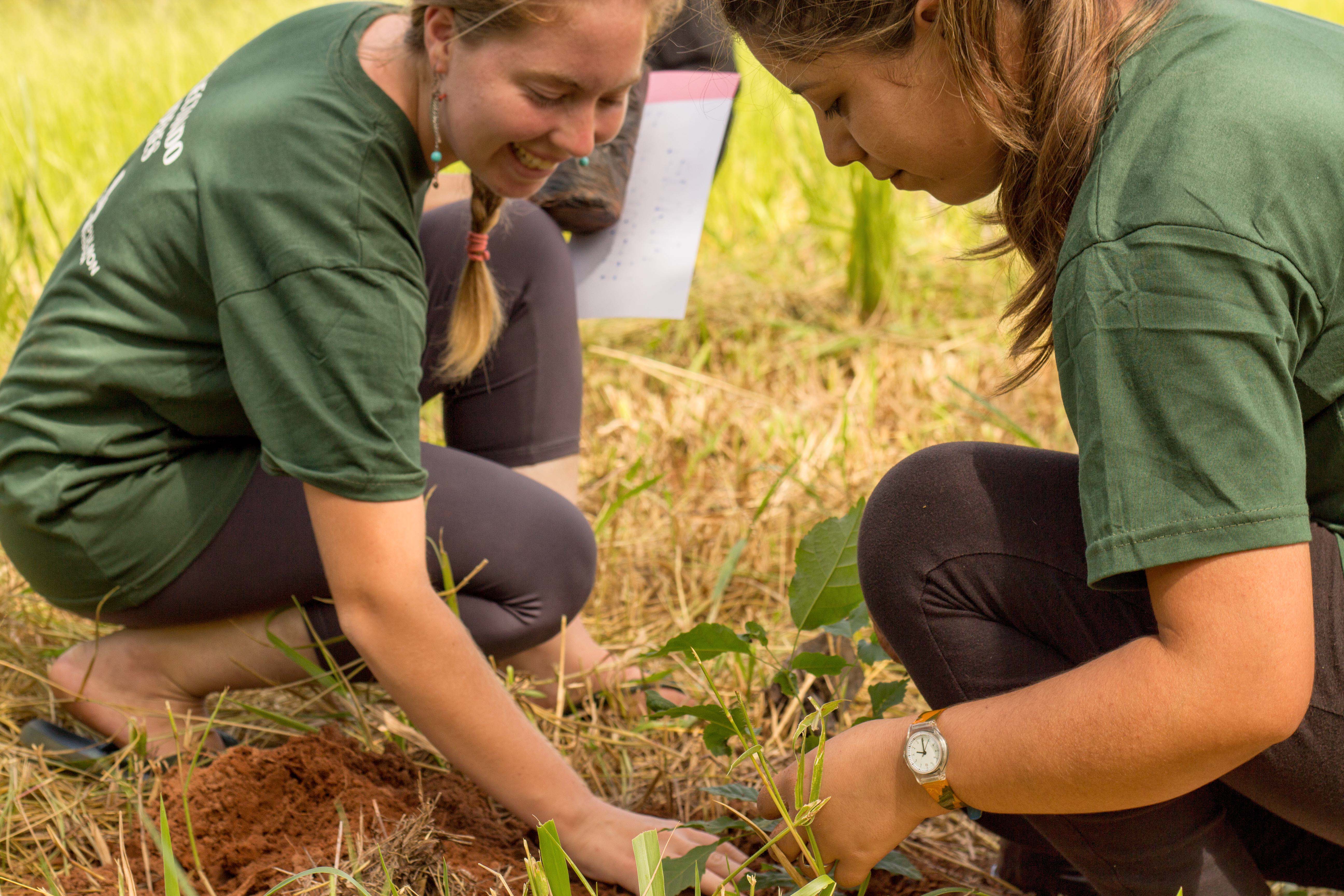 Planting Tree Aubrey