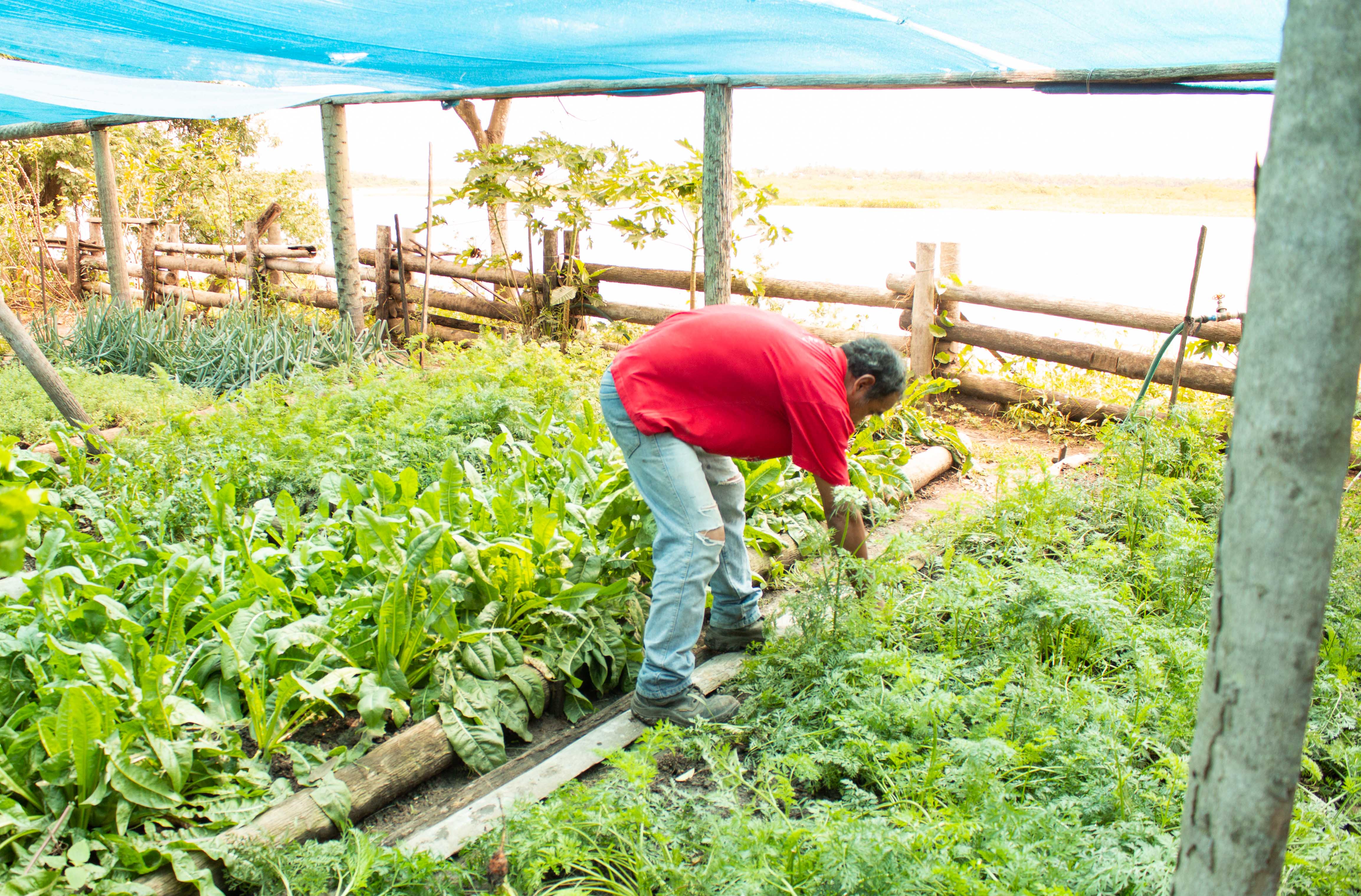 Los Tres Gigantes Farm in the Pantanal