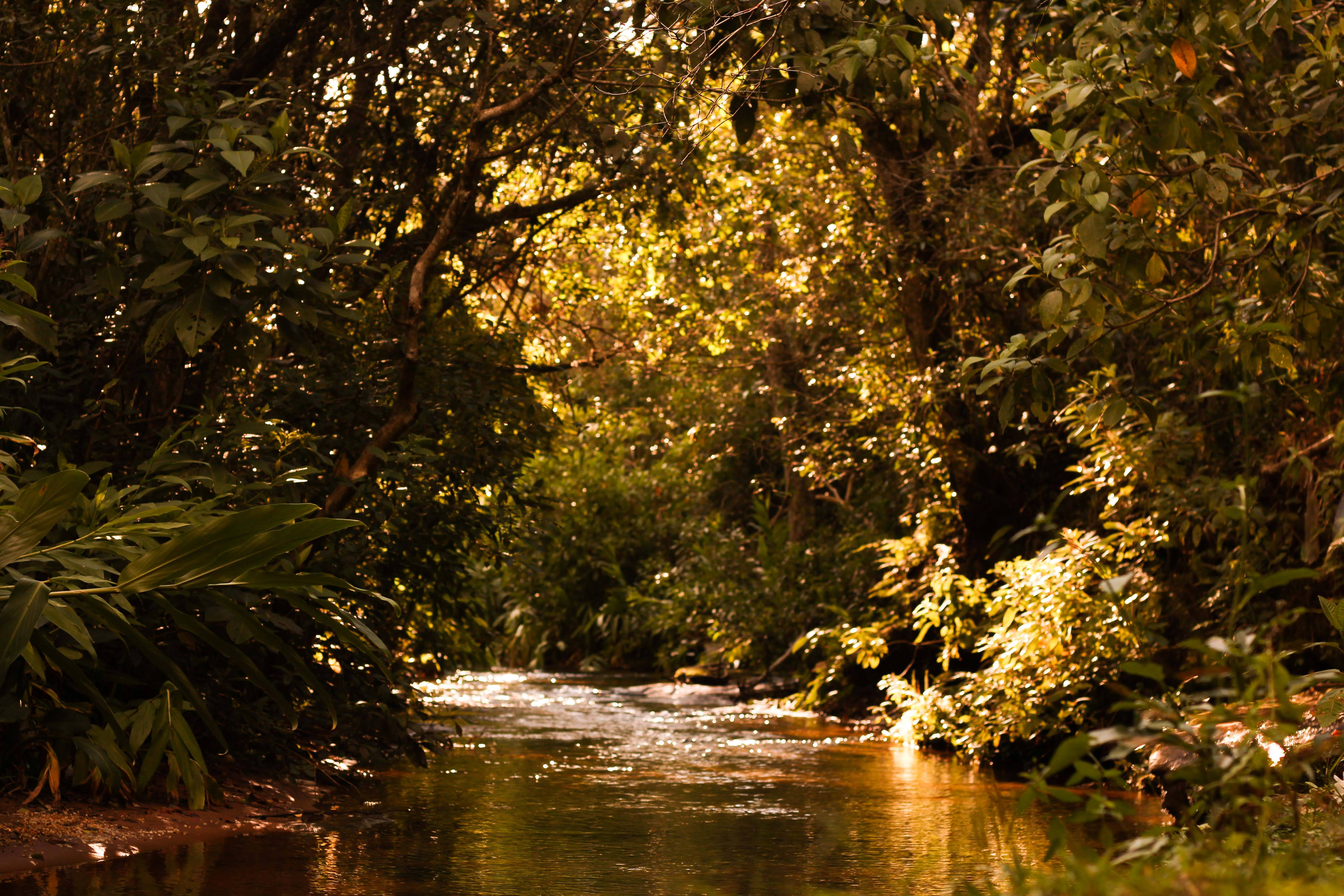 Capilla Cue - The river walk