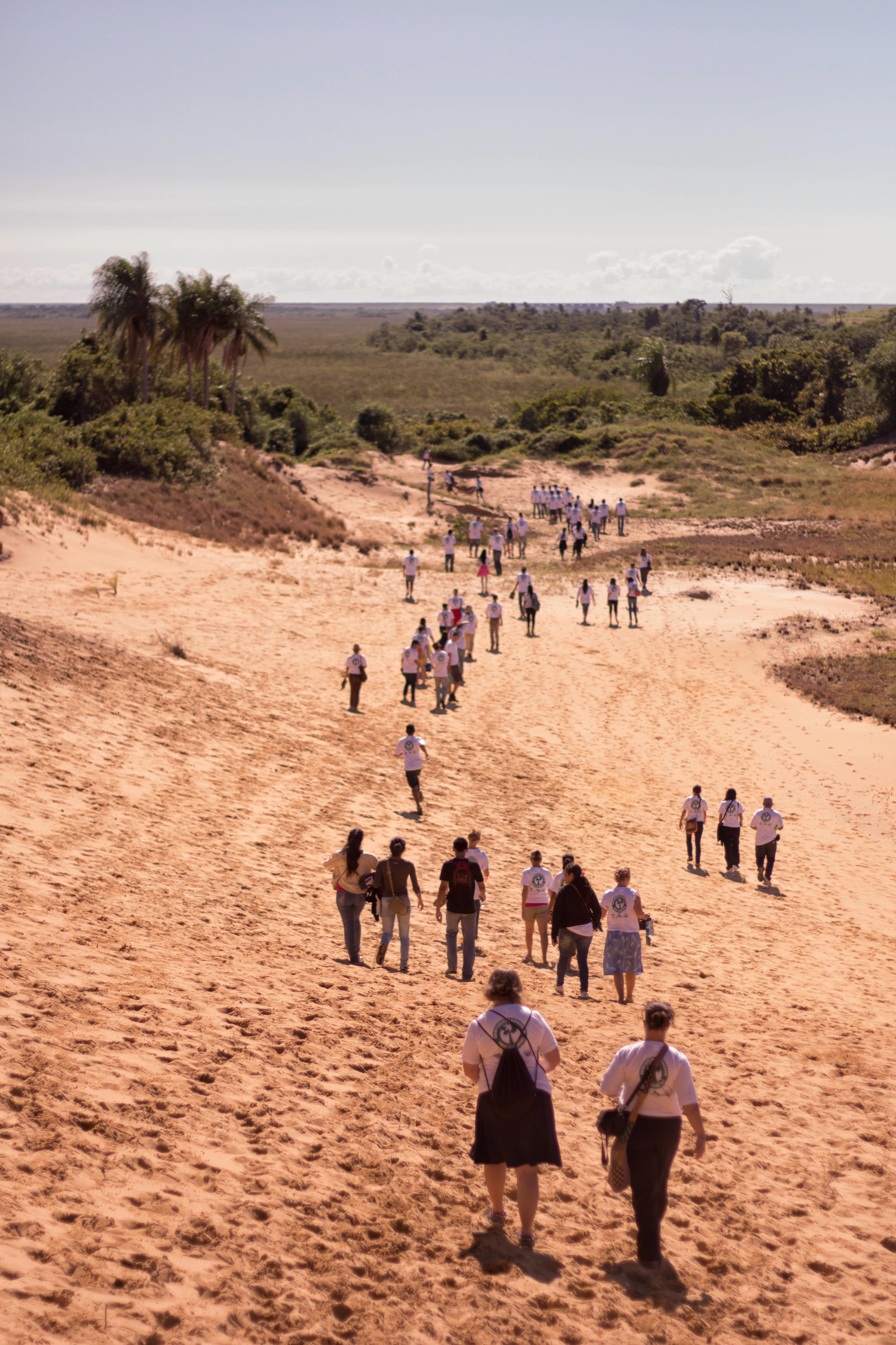 Paraguay Verde IV - Taken from on top of a dune