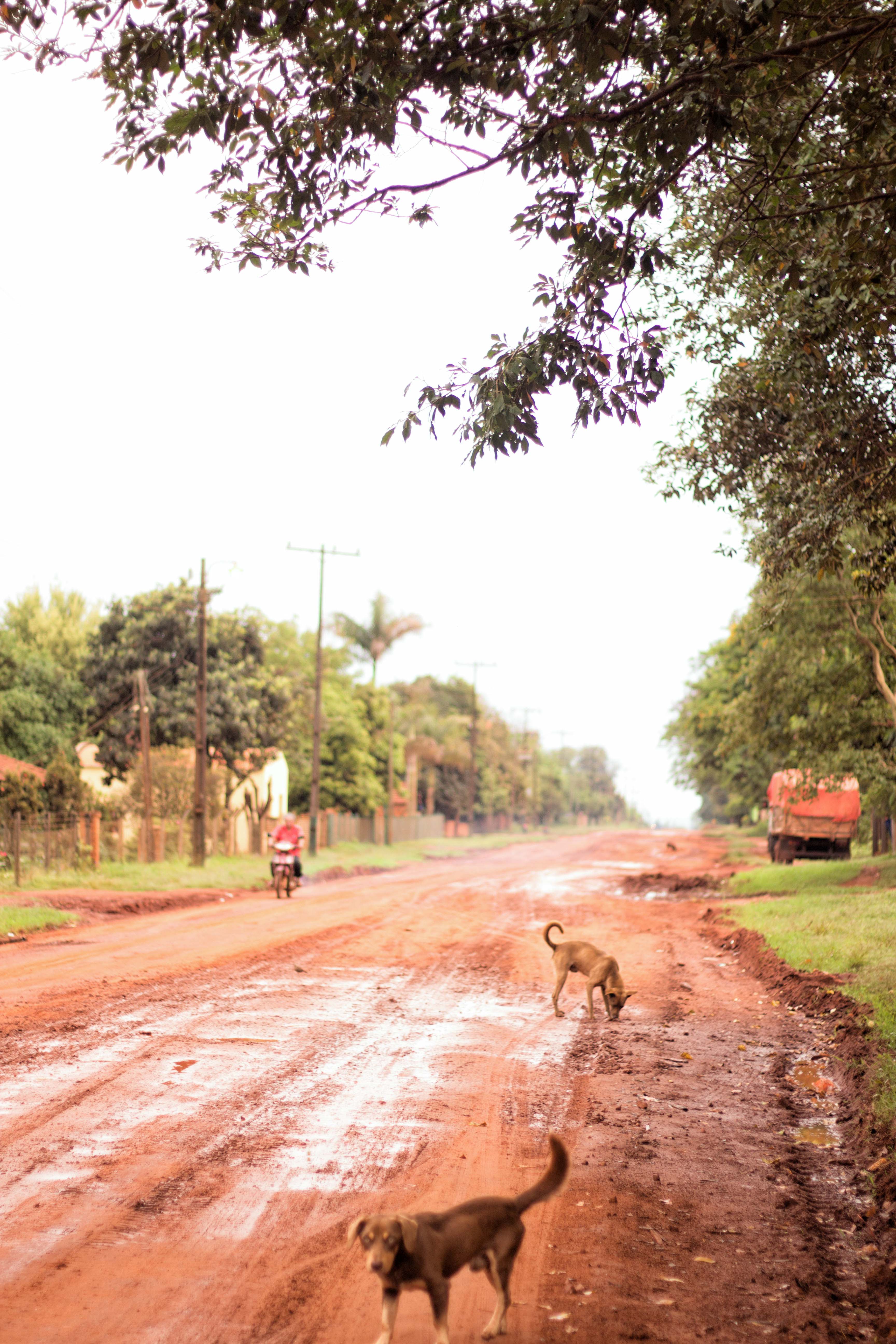 Juan E Oleary - Red dirt road